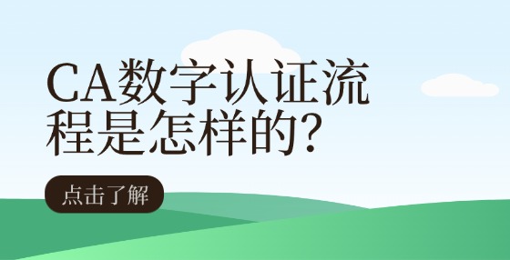 CA數(shù)字認證流程是怎樣的？
