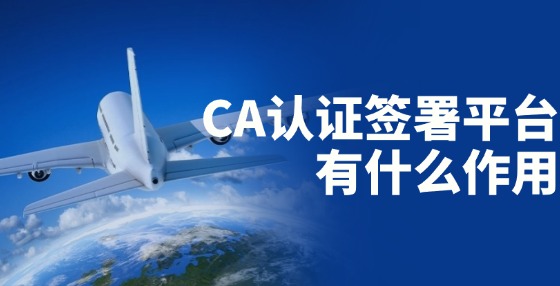 CA認(rèn)證簽署平臺(tái)有什么作用？