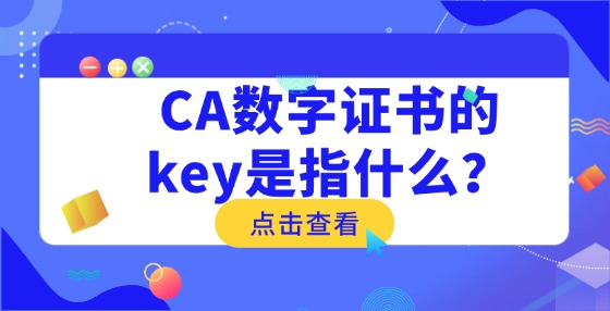 CA數(shù)字證書的key是指什么？