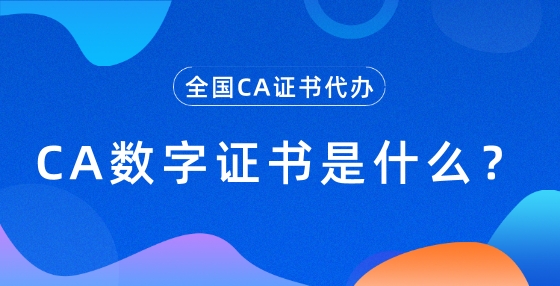CA數(shù)字證書是什么？