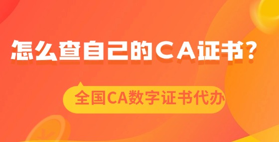 怎么查自己的CA證書？