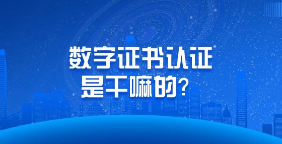 數(shù)字證書認(rèn)證是干嘛的？