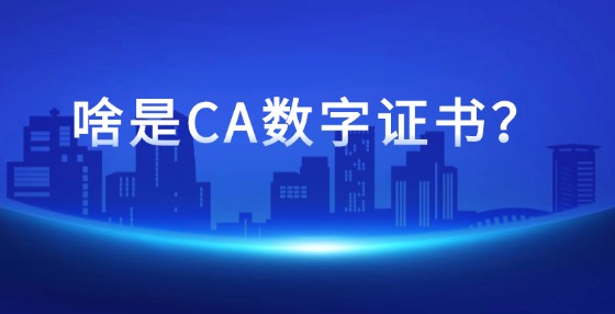 啥是CA數(shù)字證書？