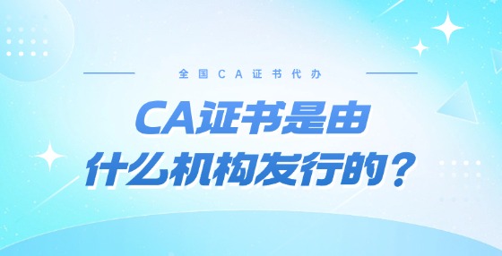 CA證書是由什么機構發(fā)行的？