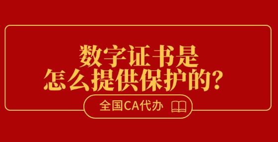數(shù)字證書是怎么提供保護(hù)的？