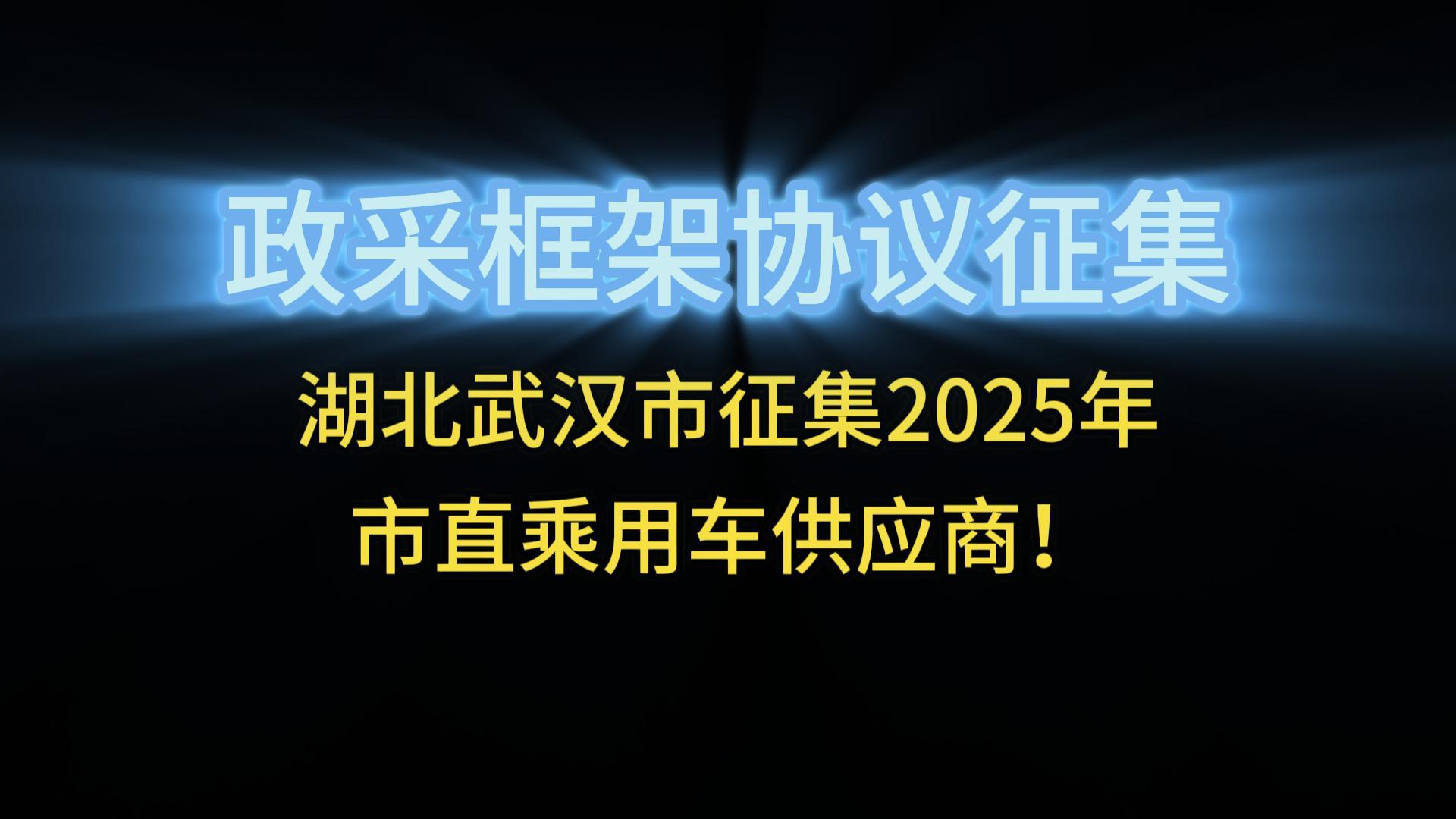 湖北武漢市征集2025年市直乘用車供應商！