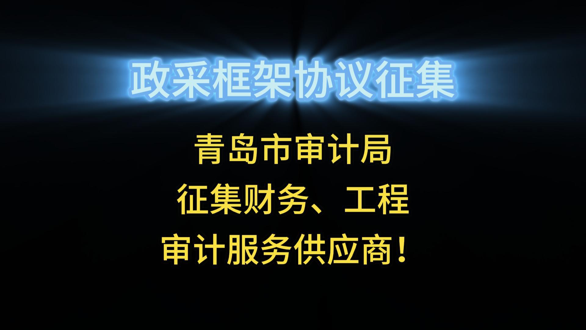 青島市審計(jì)局征集財(cái)務(wù)、工程審計(jì)服務(wù)供應(yīng)商！